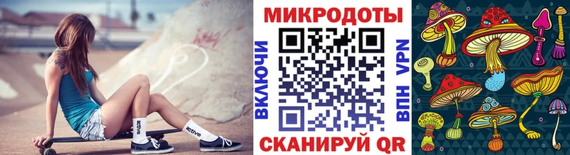 Галлюциногенные грибы GOLDEN TEACHER  Нефтекумск 
